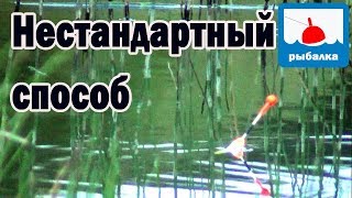 Как можно поймать карася летом,  особый вариант, и я его тут так ловил лет 10 назад