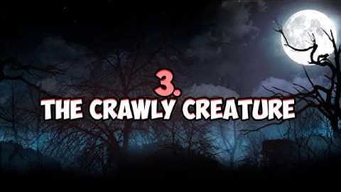 5 Scariest Creatures Caught On Camera  Spotted In Real Life