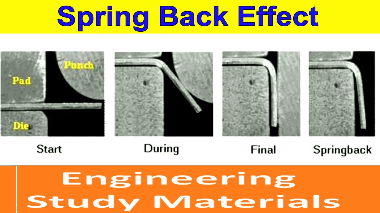 backbone definition backbone definition