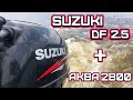 Обзор лодочного мотора Suzuki DF 2,5 и лодки Аква 2800