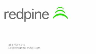 Redpine Software & Services Demonstration screenshot 5