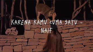 Karena Kamu Cuma Satu - Naif Lyric