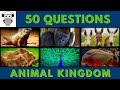 Animal Quiz Trivia #2 General Knowledge | Iguana, Rodent, Gorilla, Donkey Horse, Peacock, Piranha