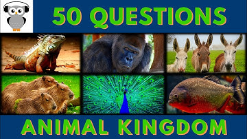 Animal Quiz Trivia #2 General Knowledge | Iguana, Rodent, Gorilla, Donkey Horse, Peacock, Piranha