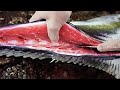 Fresh Sashimi is Incredible!