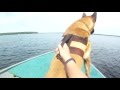 GBVSAR K9 Water Search Training - Blooper Reel GBVSAR K9 Water Search Training - Blooper Reel