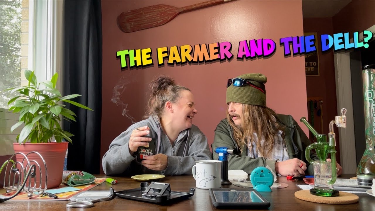 Go Ahead Donna… Explain Yourself Woman!