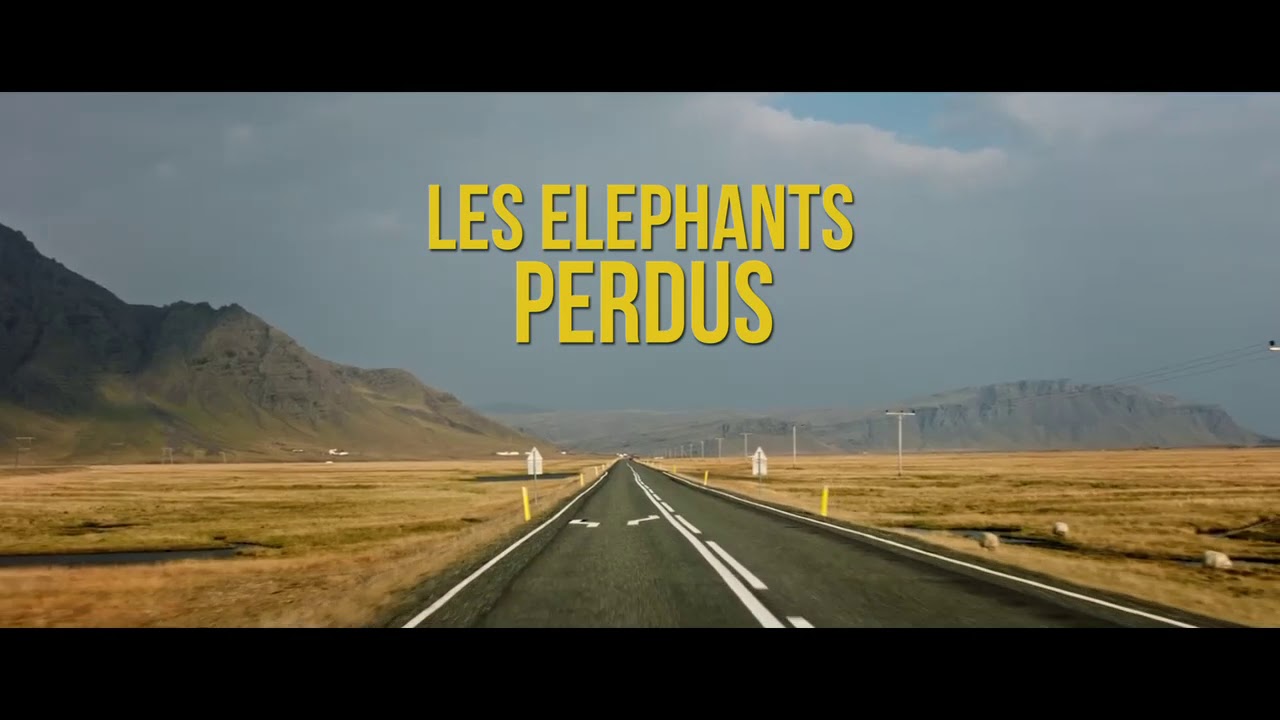 LES ELEPHANTS PERDUS - BA courte 5