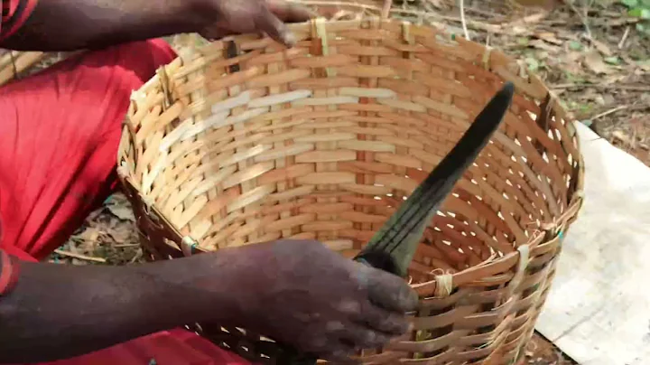 “Ancient Craft, Modern Hands: Making a Raffia Palm Basket in the Wild”