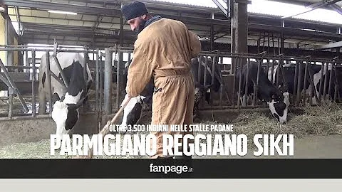 Come si chiama la persona che lavora nella stalla?