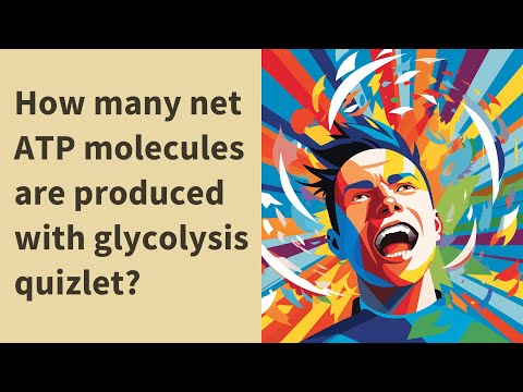 Wideo: Która faza katabolizmu wytwarza najwięcej quizletu ATP?