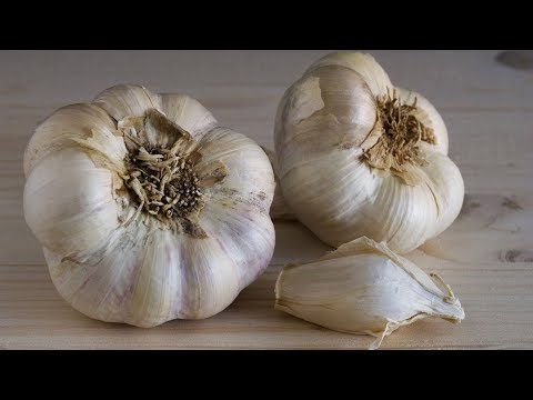 УНИКАЛЬНЫЙ "ЛЕНИВЫЙ" СПОСОБ ПОСАДКИ ЧЕСНОКА ЦЕЛЫМИ ГОЛОВКАМИ!