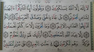 سورة الصافات الآية من ٣٥ الى ٤٢ (35~42)