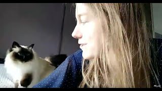 Singing With My Cat - If Youre Happy And You Know It... Ft. Fay