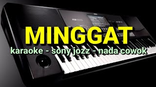 KOPLO  KARAOKE //minggat// NADA cowok //sony jozz// by jampangpbg //psr670