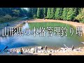 状況一変！！魚の反応に合わせてアクションを変えたら凄かった！！！