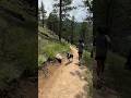 When in Boulder!  #trail #trailrunning #boulder #colorado