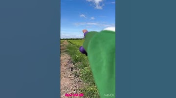 Cần bán nhanh DT 3 mẫu 5 giá 120 triệu 1 công thuộc huyện Thạnh hóa tỉnh Long an lh 0819259737