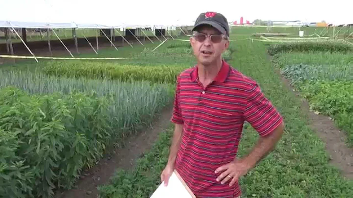 Cover Crops: 16 demonstration plots and their seed...