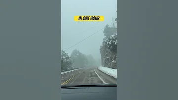 Drive from the desert to snow caps in less than an hour. This is the surreal drive up Mount Lemmon