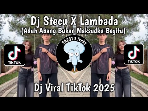 DJ STECU X LAMBADA - DJ ADUH ABANG BUKAN MAKSUDKU BEGITU VIRAL TIKTOK TERBARU 2025 !!