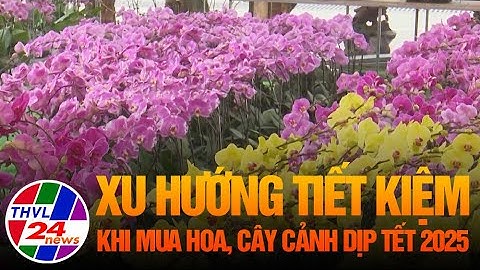 Xu hướng tiết kiệm khi mua hoa, cây cảnh dịp Tết 2025