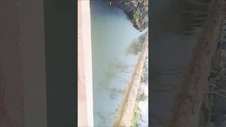 River 🥰Desi life #trending #shorts #minivlog