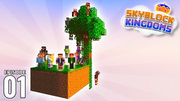 I joined the FIRST SKYBLOCK SMP again! | Skyblock Kingdoms | Episode 1