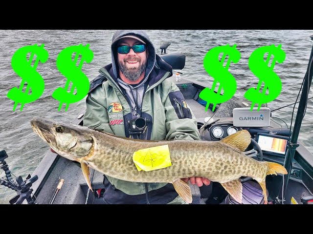 Muskie Fishing  Bass Crank Baits with Cory Allen 