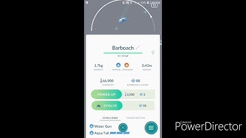 Barboach evolving to Whiscash 3 star evolution