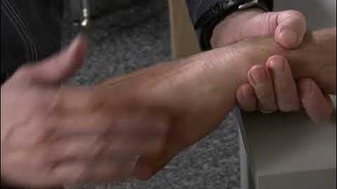 MMT Group Wrist Ulnar Deviation