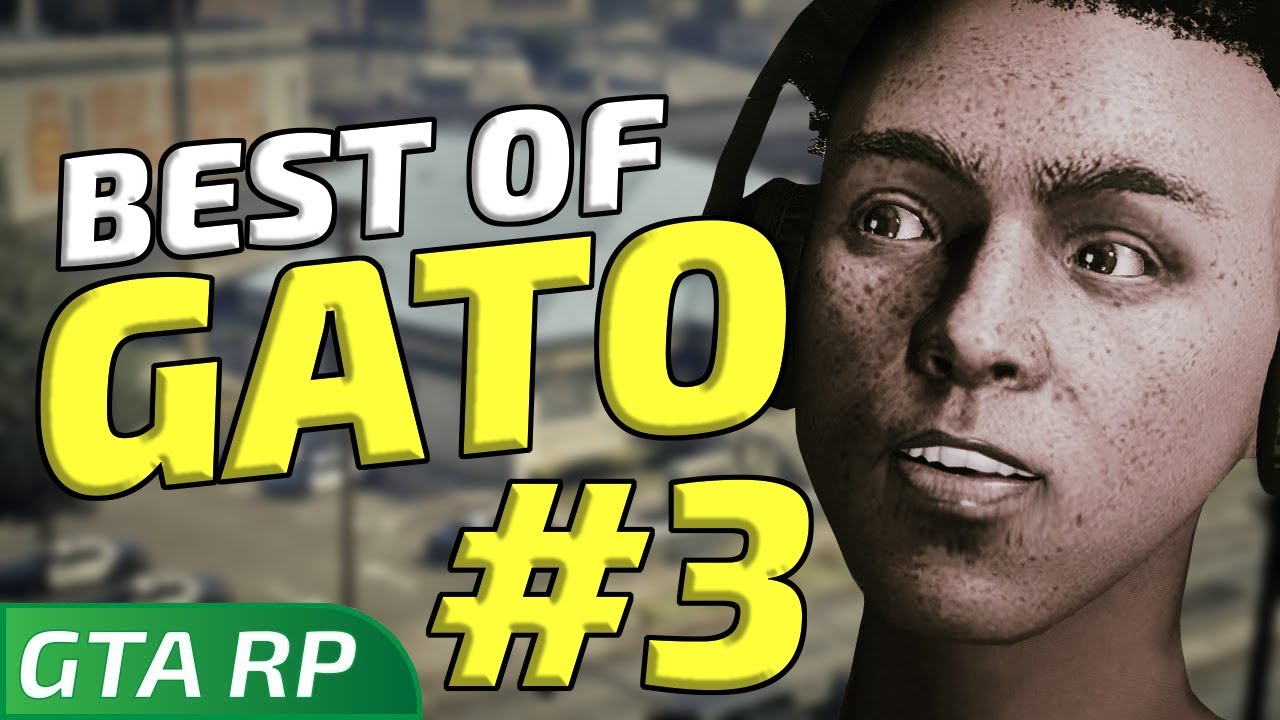 GATO REVIENT DES ANTILLES AVEC LYSOPAINE - BEST OF #3