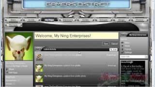 Complete Custom Ning Theme Design