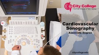 City College Cardiovascular Sonography Degree