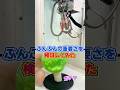 ぶんぶんの重要さを検証してみた! #クレーンゲーム #クレゲ #確率機 声 VOICEVOX:ずんだもん