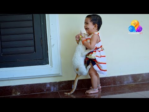 Uppum Mulakum│Flowers│EP# 771