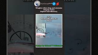 This Winglet Solve Engineering Problem