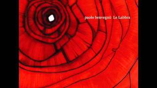 Video thumbnail of "Paolo Benvegnù - La distanza"