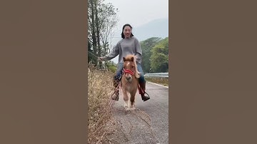 Thumbnail of Girls enjoying a ride on their miniature ponies after work