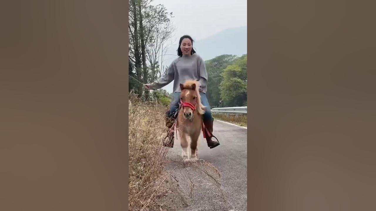 Girls enjoying a ride on their miniature ponies after work