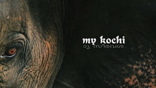 My Kochi: India's Kerala [Woodkid "I Love You"]