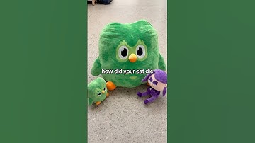 NOM NOM NOM 👹 #duolingo #funny #memes