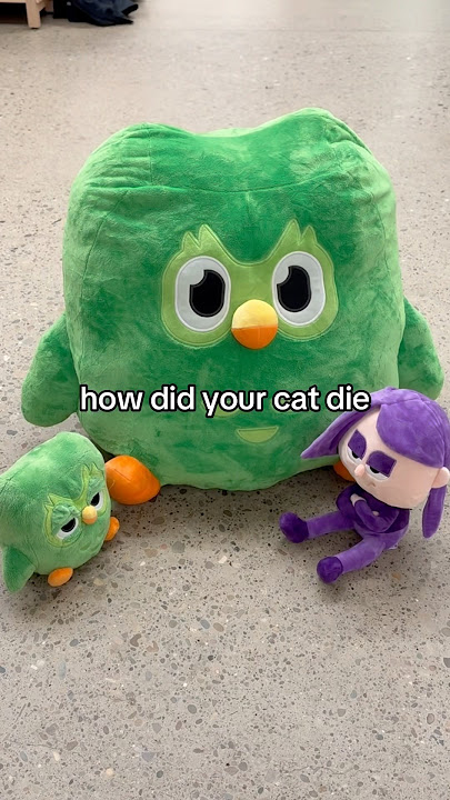 NOM NOM NOM 👹 #duolingo #funny #memes
