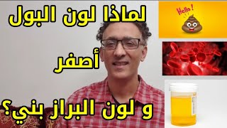 لماذا لون البول أصفر و لون البراز بني ،؟