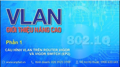VLAN Giới thiệu nâng cao - Cấu hình VLAN trên VigorRouter và VigorSwitch (EP2)