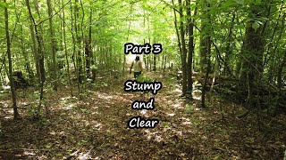 My Off Grid Dream: Part 3 Stump and Clear by Allwonkyvids 77 views 7 months ago 5 minutes, 4 seconds