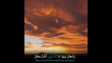تلاوة خاشعة من سورة فصلت للقارئ عمر الدريويز (إن الذين قالوا ربنا الله ثم استقاموا) آية30.