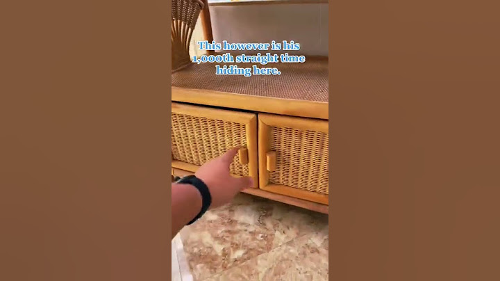 Hide and seek master of “he won’t check here again!”