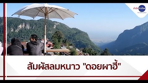 นักท่องเที่ยวแห่สัมผัสลมหนาวบนดอยผาฮี้ จ.เชียงราย