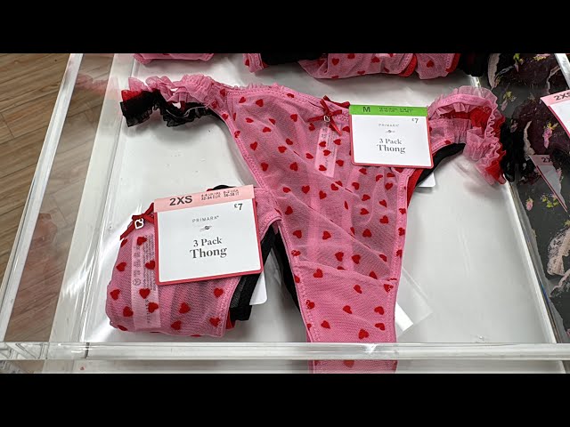 Primark women's Briefs & Underwear new collection - February / 2024 